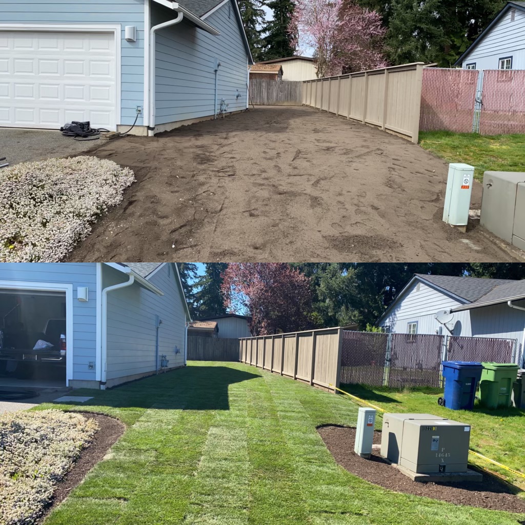Jim's Clean-Up