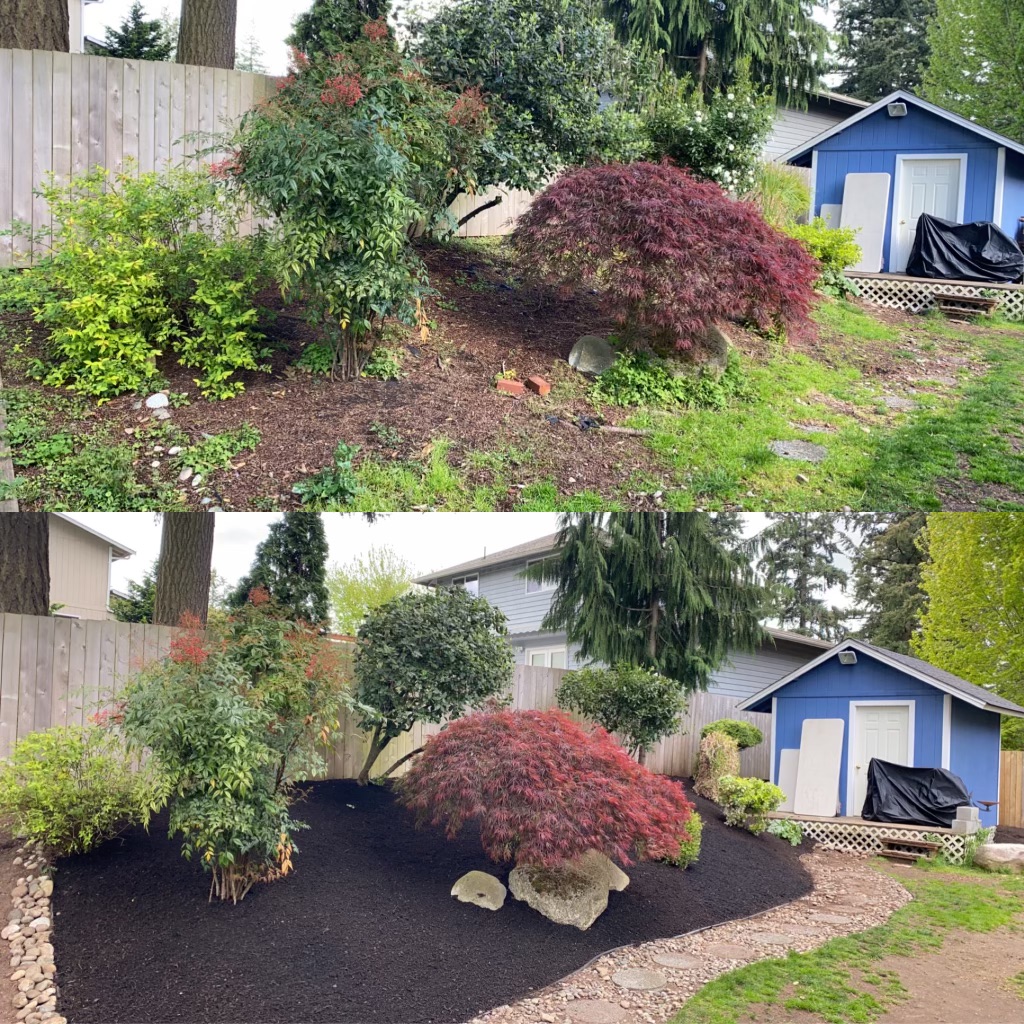 Jim's Clean-Up