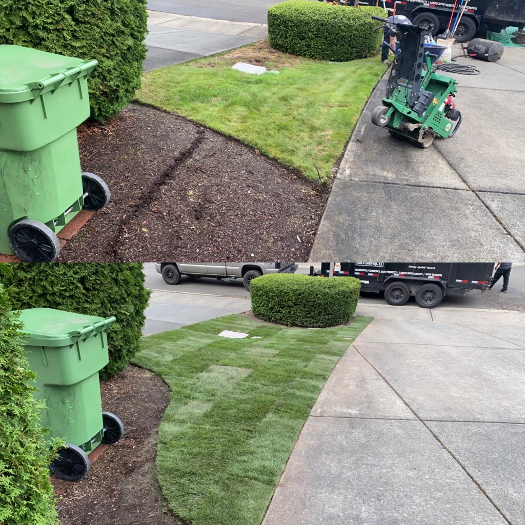 Jim's Clean-Up