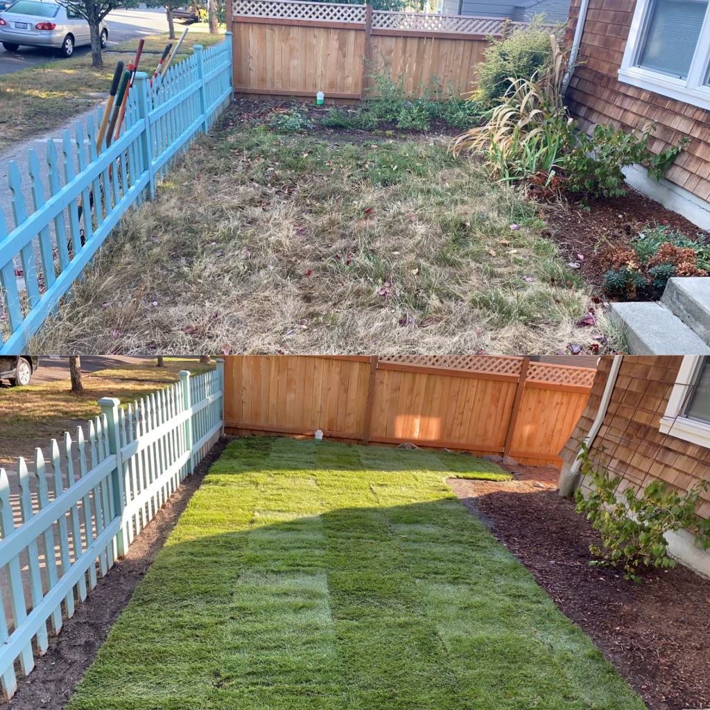 Jim's Clean-Up